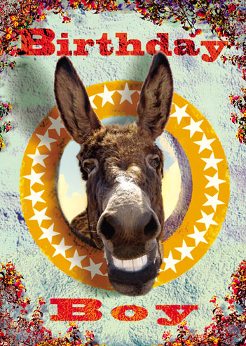 Birthday Boy Donkey Greeting Card by Max Hernn