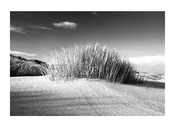 Marram Grass Landscape - 40 x 30cm B&W Print by Max Hernn - Click Image to Close