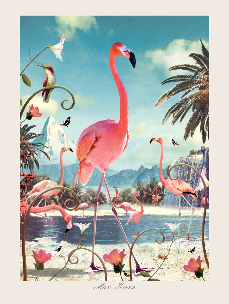 Standing Flamingo 40x30 cm Print by Max Hernn