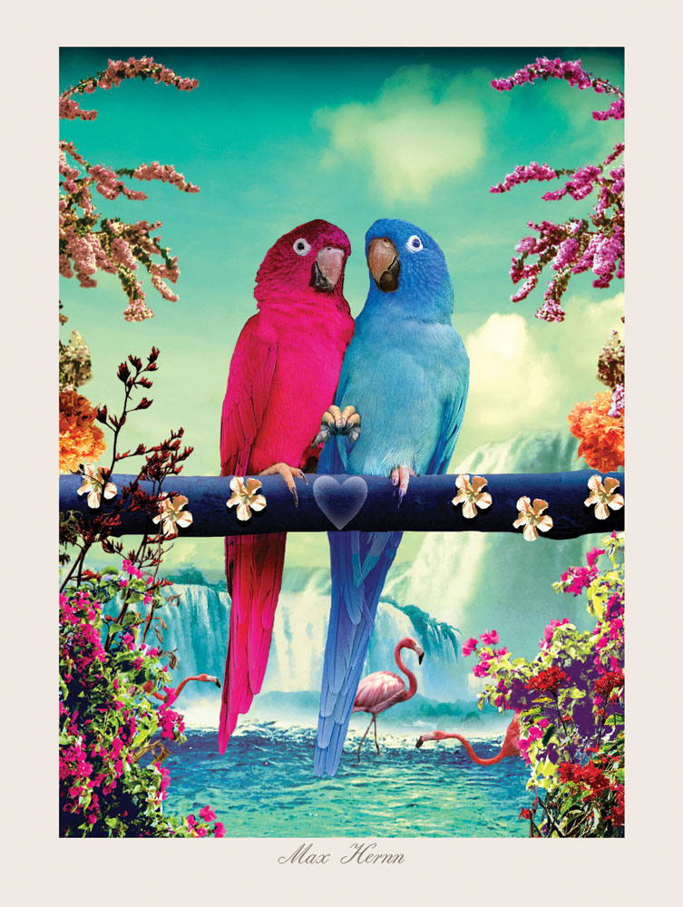 Parrots 40x30 cm Print by Max Hernn - Click Image to Close