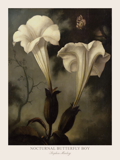 Nocturnal Butterfly Boy Print by Stephen Mackey - Click Image to Close