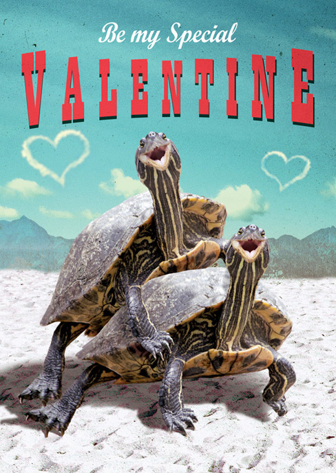 Turtles Valentines Greeting Card by Max Hernn
