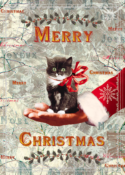 Merry Christmas Kitten Cat Pack of 5 Greeting Cards Merry Christmas Kitten Cat Pack of 5 Greeting Cards