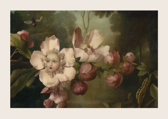 Sleepless Blossom Greeting Card by Stephen Mackey - Click Image to Close