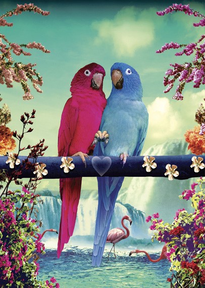 BC276 - Two Parrots Greeting Card