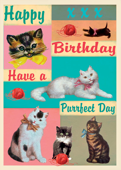 LG04 - Happy Birthday Have a Purrfect Day Greeting Card