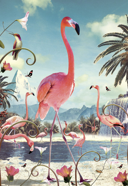 Standing Flamingo Postcard by Max Hernn