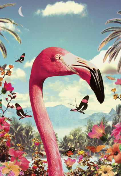 Flamingo Head Postcard by Max Hernn - Click Image to Close