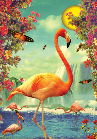 Flamingo Postcard by Max Hernn