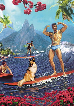 Surfing Lassie Dog Postcard by Max Hernn