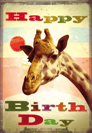 Happy Birthday Giraffe Postcard by Max Hernn